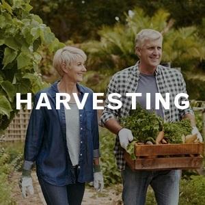 Wealth Retirement Process Services | Gleason Financial Group