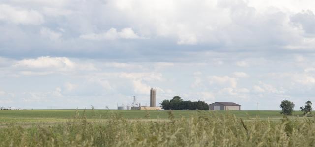 Farmland